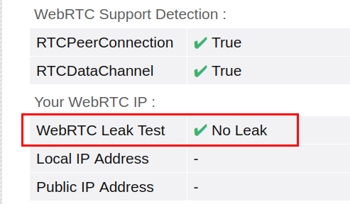 WebRTC leak test